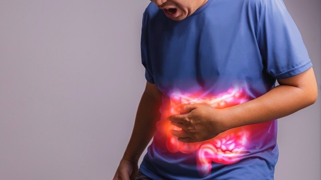 colon vascular-heart Alkaione-alkaione/alkaione.com