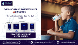 The Importance of Water for Digestion