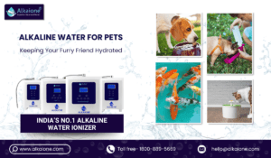 Alkaline Water for Pets