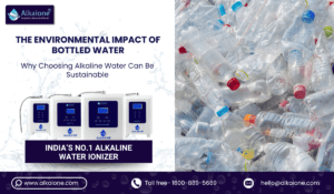 The Environmental Impact of Bottled Water