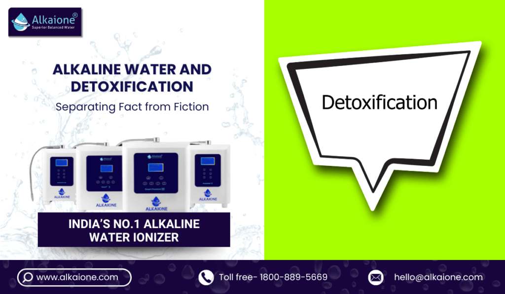 Alkaline Water and Detoxification: Separating Fact from Fiction - Alkaione / alkaione.com